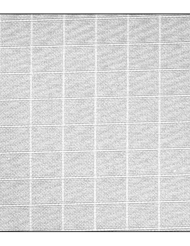 Rosco Cinegel 3034 1/4 Grid Cloth